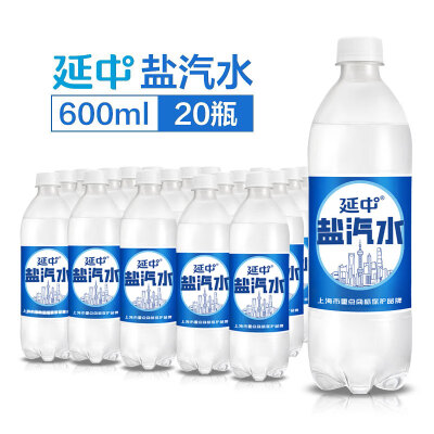 延中盐汽水600ml*20瓶整箱 防暑降温汽水