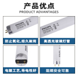 飞利浦T8日光灯管 TLD/54-765 0.6米18W 白光6500K
