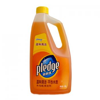 碧丽珠木地板护清洁剂500ML